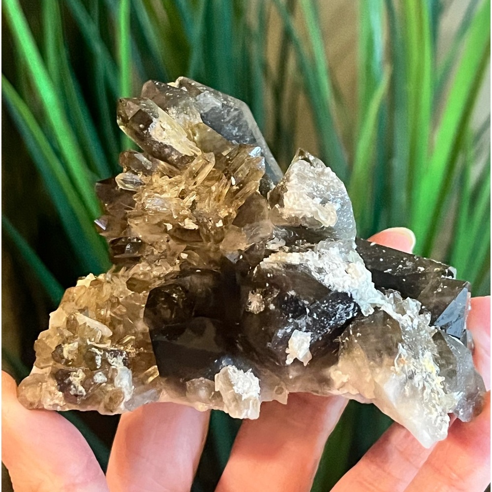Smokey Quartz Cluster